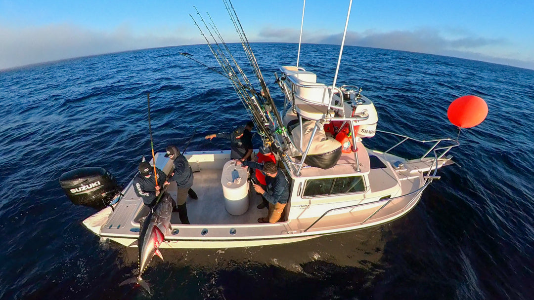Anglers wearing Ahcor Offshore performance apparel landing a giant bluefin tuna on a Parker 2320 boat while kite fishing
